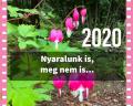 Nyri asztrolgiai prognzis 2020